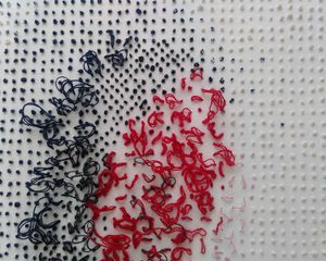 bewoelkt_detail_vs_1